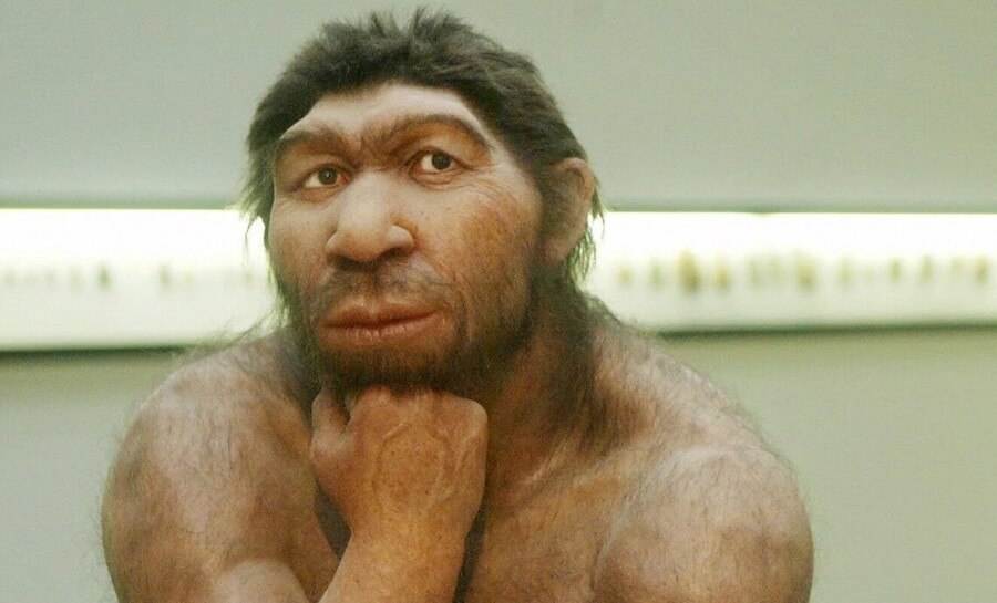 Neanderthals Never Walked in Northern Europe