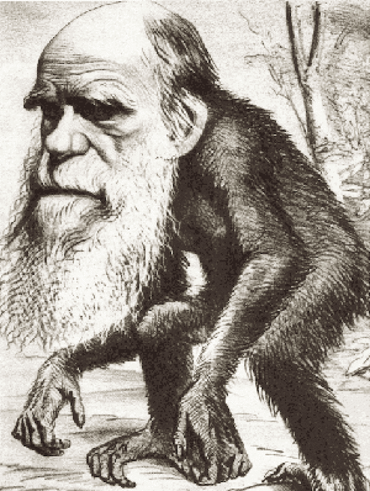 Over 1,000 PhD Scientists Sign Petition Dissenting From Darwin's Theory of Evolution