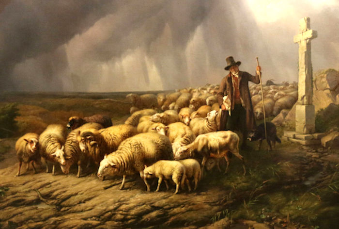 Он закричал пастухам чтобы они скорее гнали
